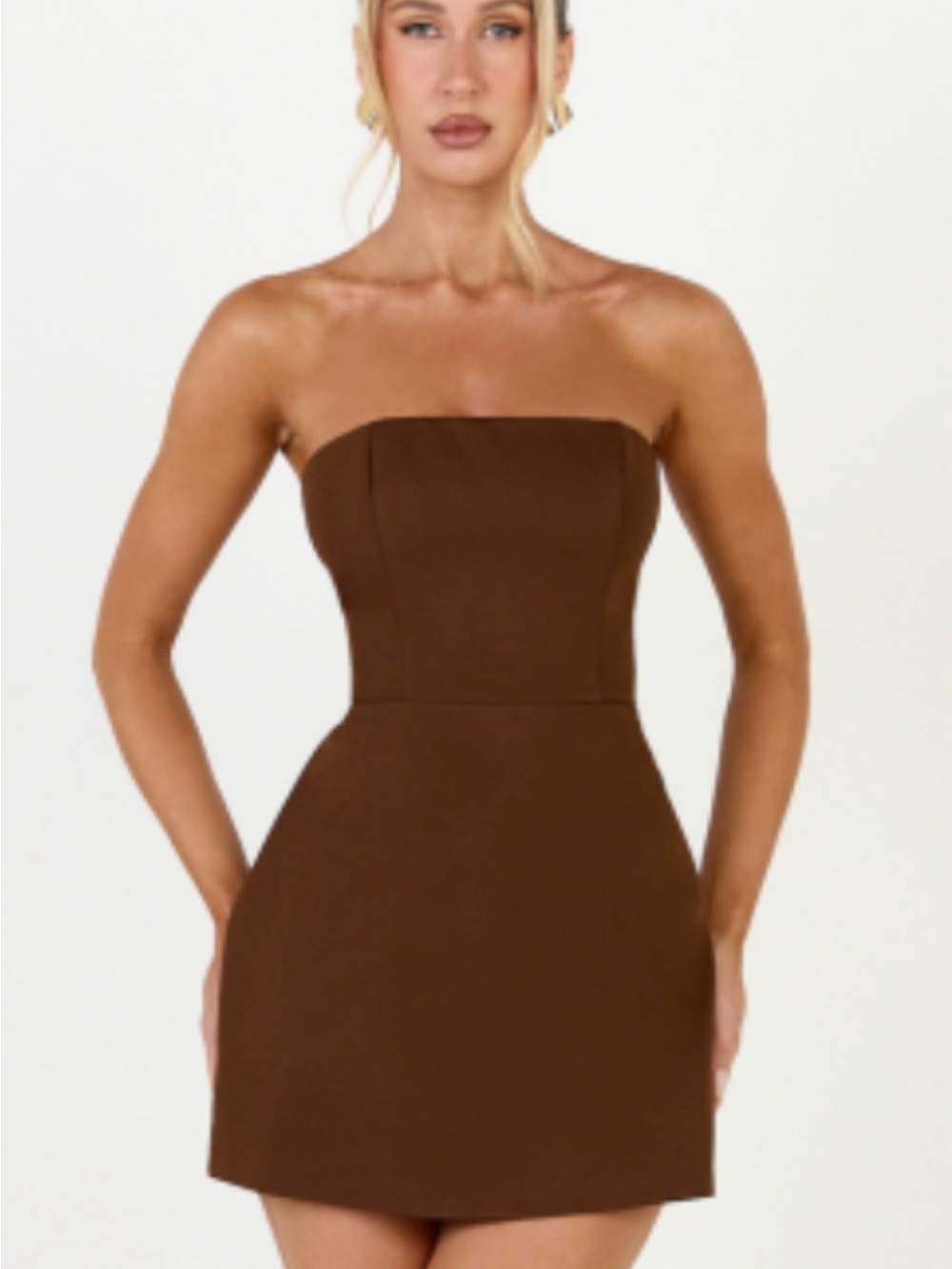 Showpo Strapless Brown Mini Dress